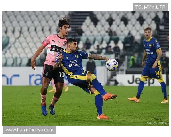 维罗纳数据分析